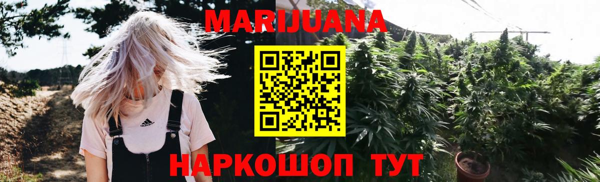 Шишки марихуана план  Вход с VPN  Родники  Марихуана OG Kush  Бошки марихуана Bruce Banner 
